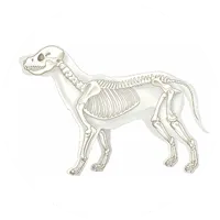 Veterinary Orthopedic