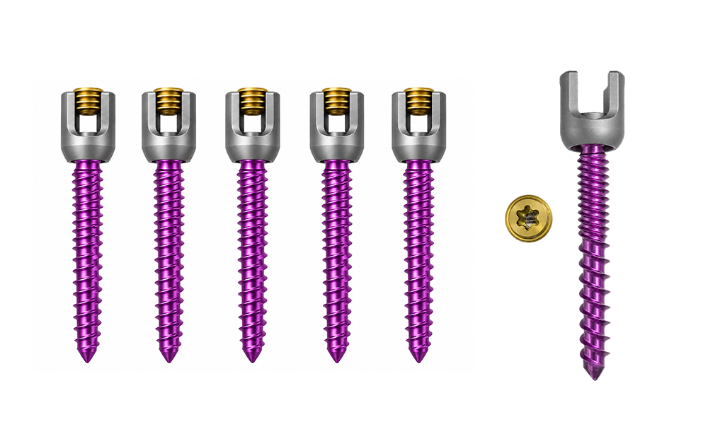 Instrument set for the Davinmed 5.5 pedicle screw system