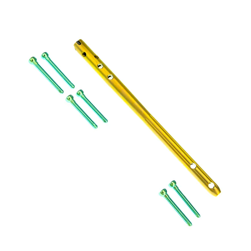 Femoral Intramedullary Nail