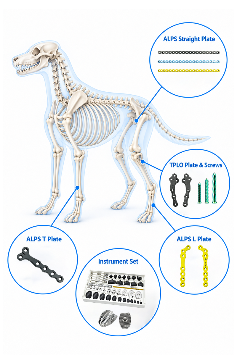 Pet Orthopedic Implants Collection