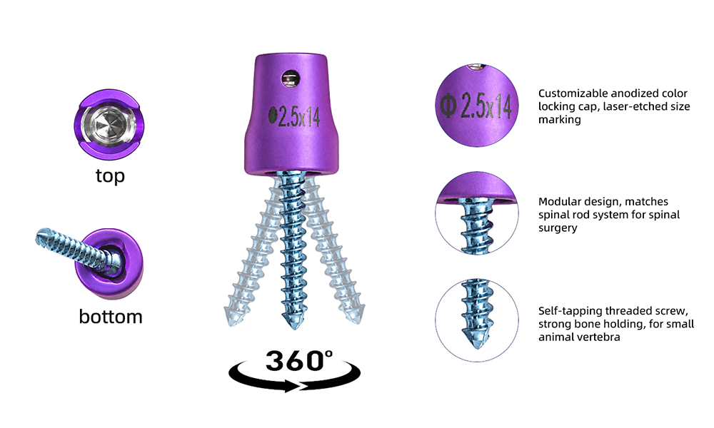 Veterinary Pedicle Screw and compatible spinal fixation components