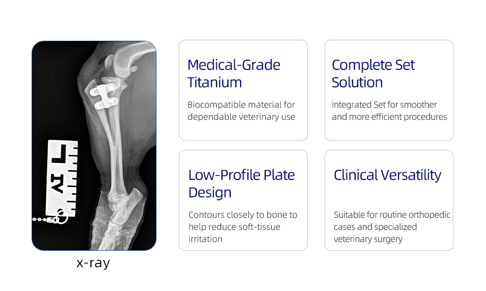 Veterinary TTA Set and compatible components for canine tibial tuberosity advancement